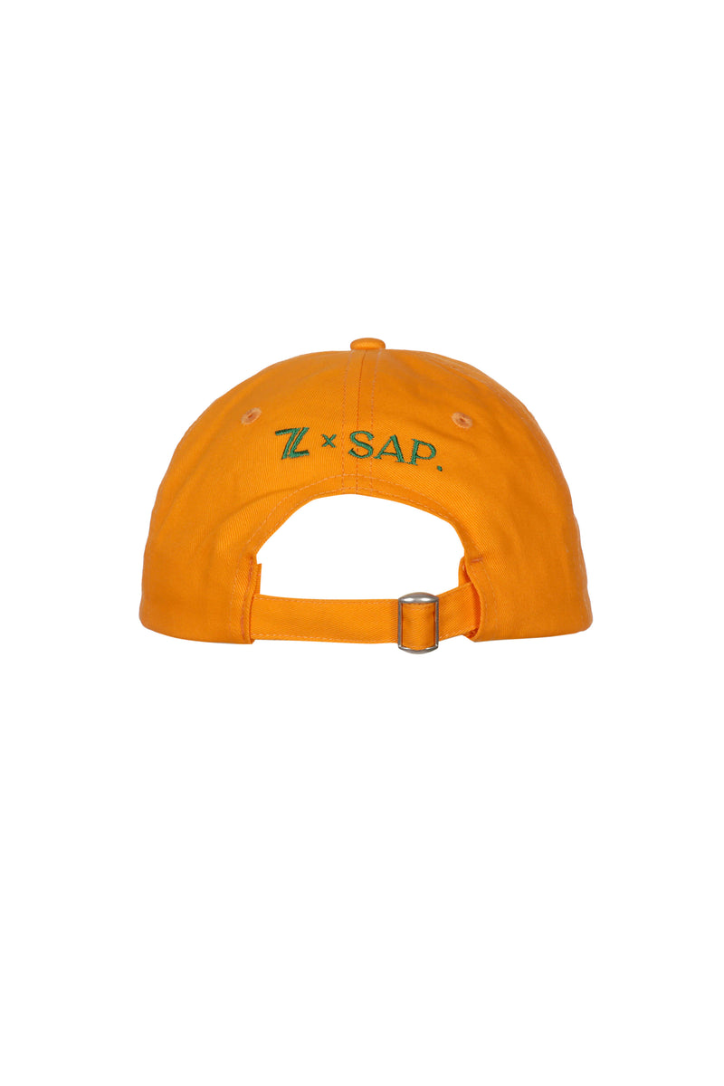 Z X SAP CAP